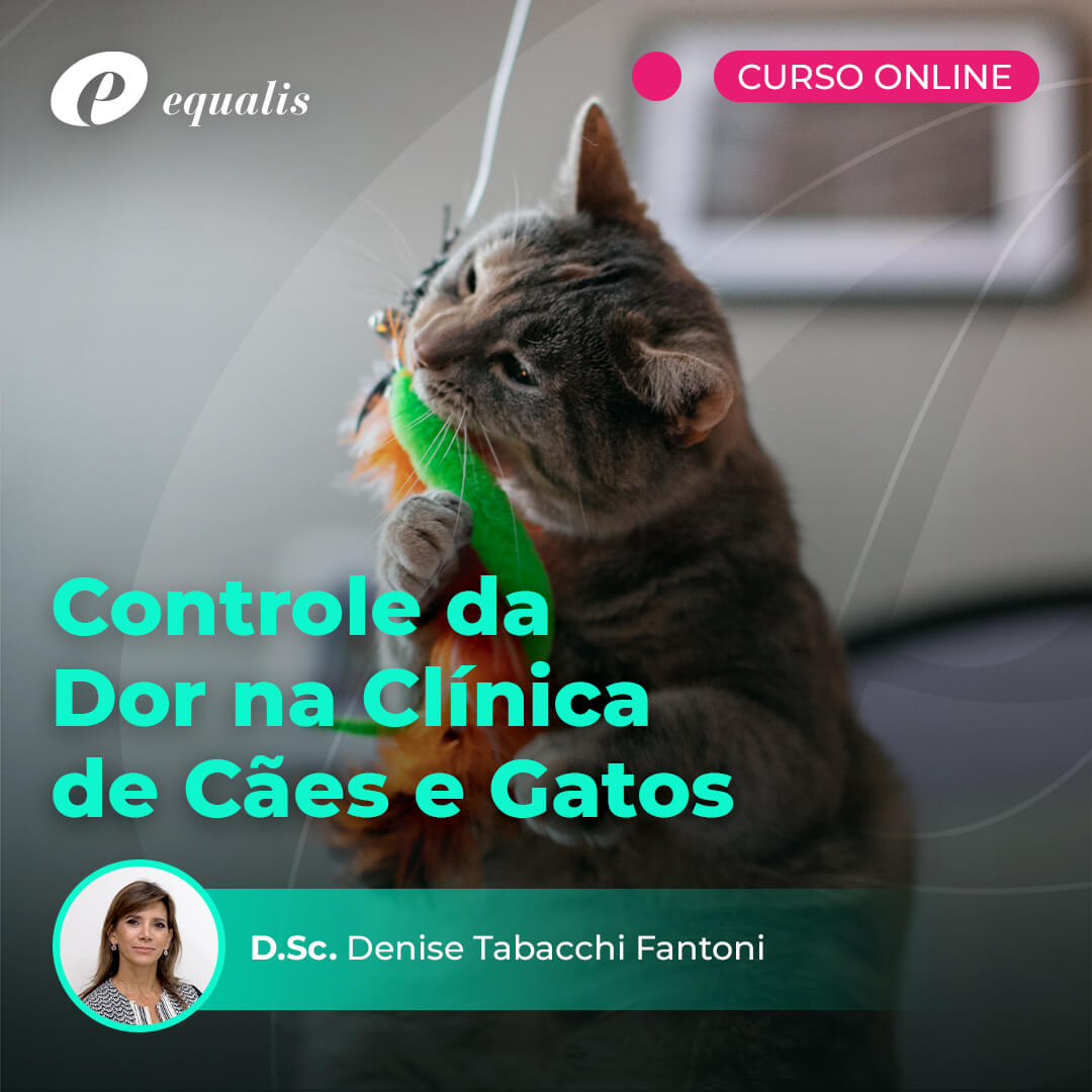 Curso Online em Controle da Dor na Clínica de Cães e Gatos
